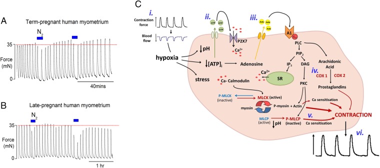 Fig. 4.