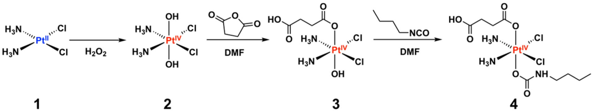 Scheme 1.