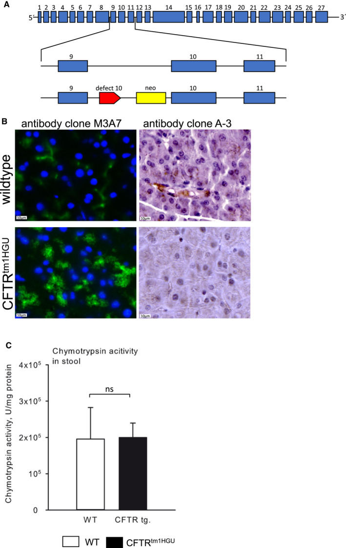 FIGURE 1