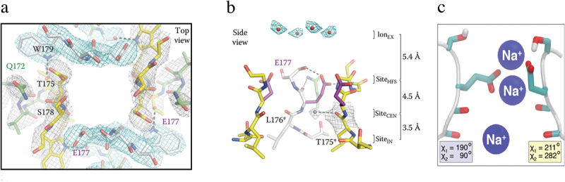 Figure 7.