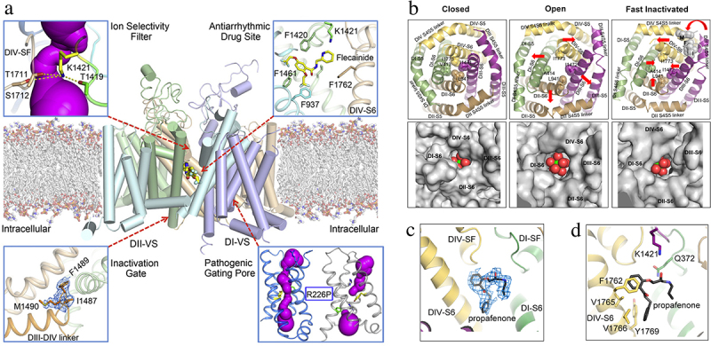 Figure 10.