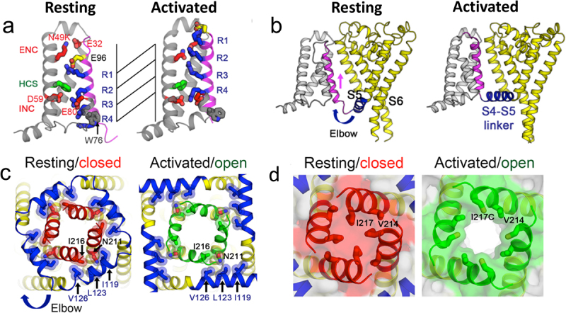 Figure 6.