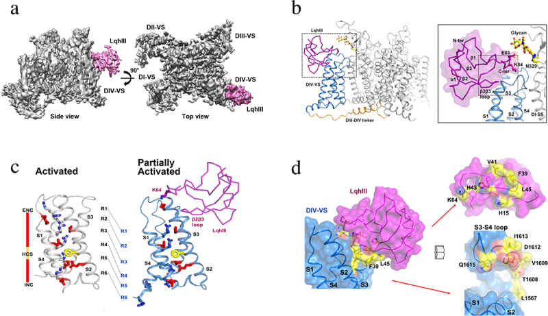 Figure 11.