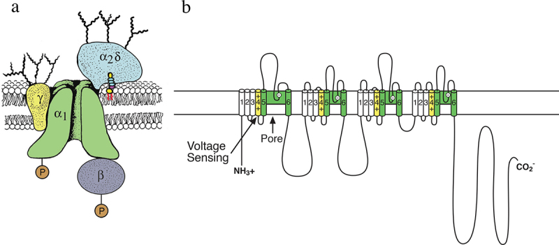 Figure 3.