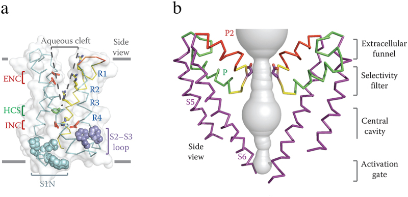 Figure 5.