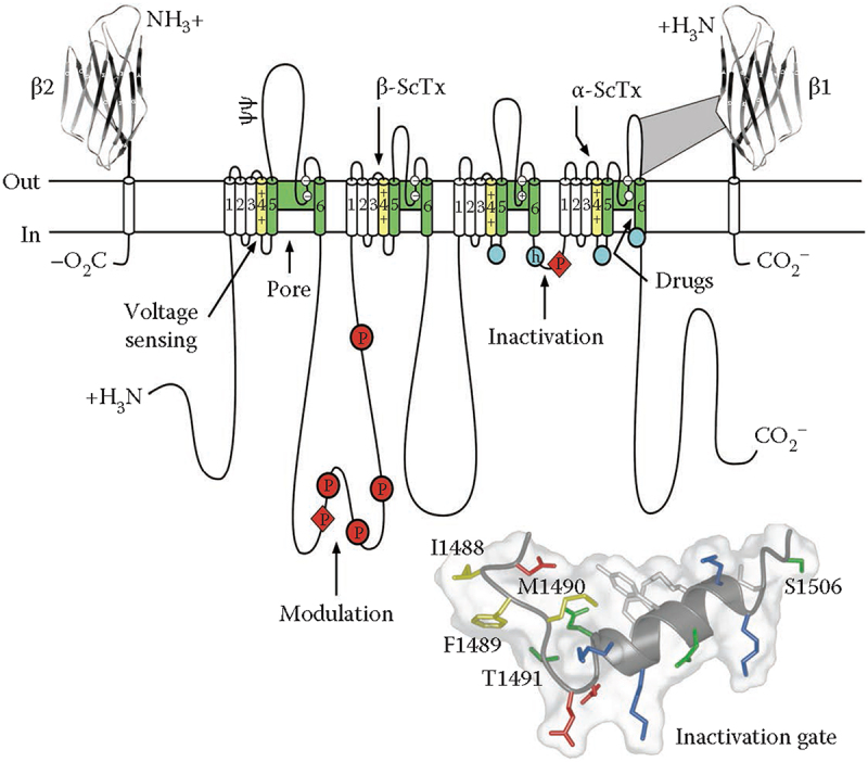 Figure 2.