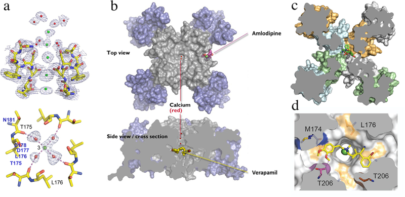 Figure 9.