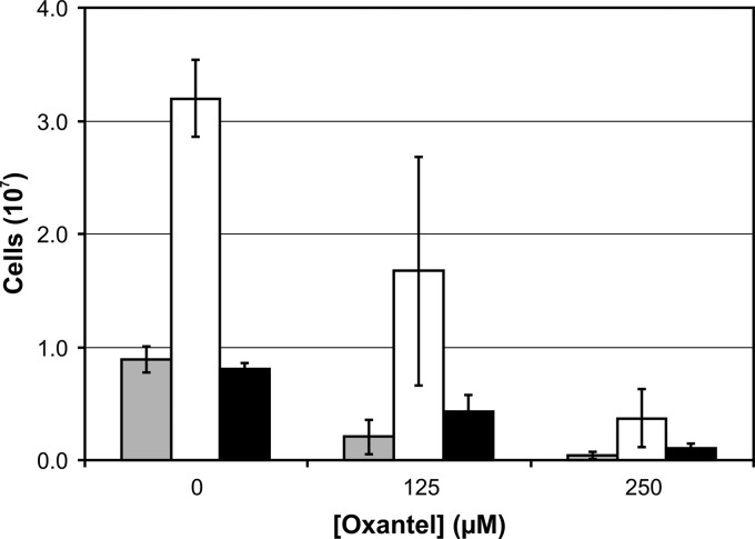 FIG 2