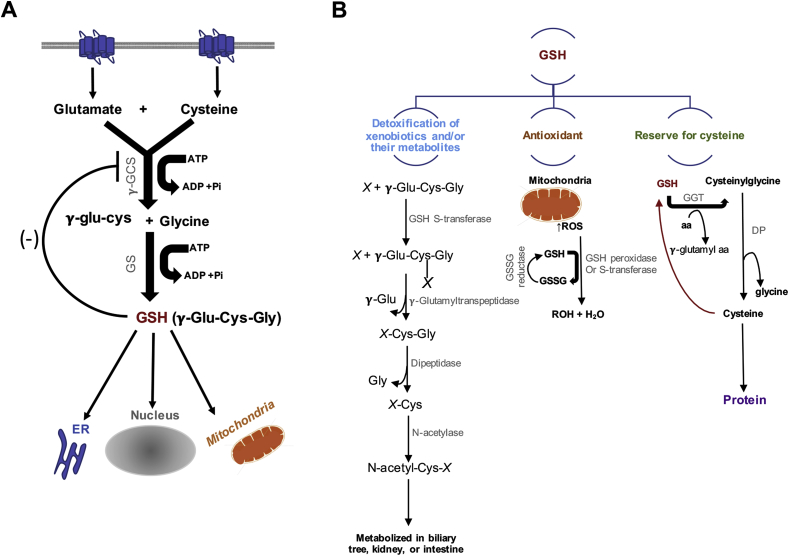 Fig. 1