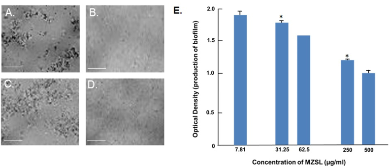 Fig. 5