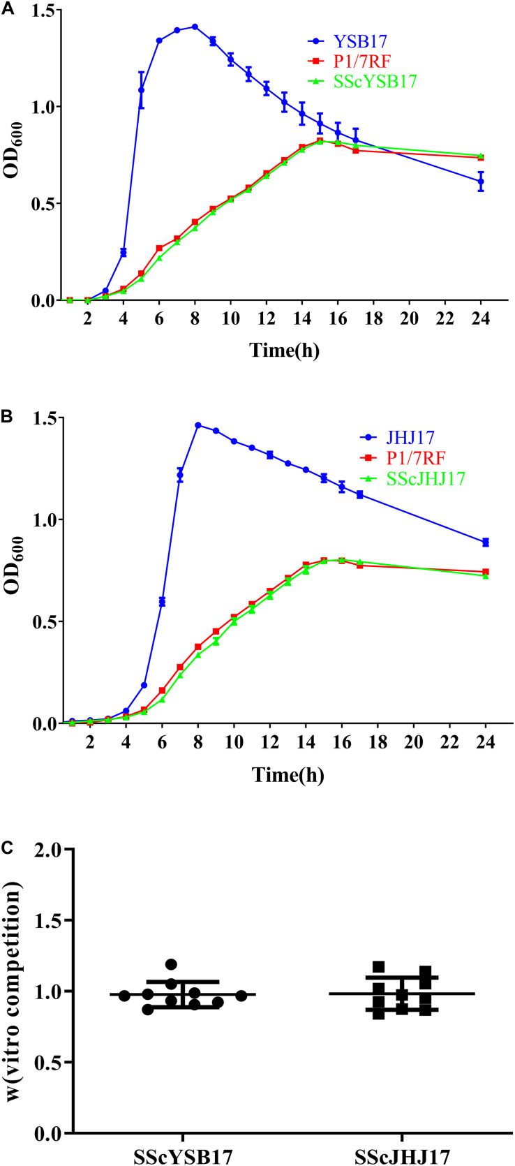 FIGURE 2