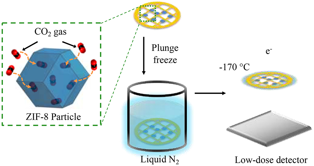 Figure 1 |