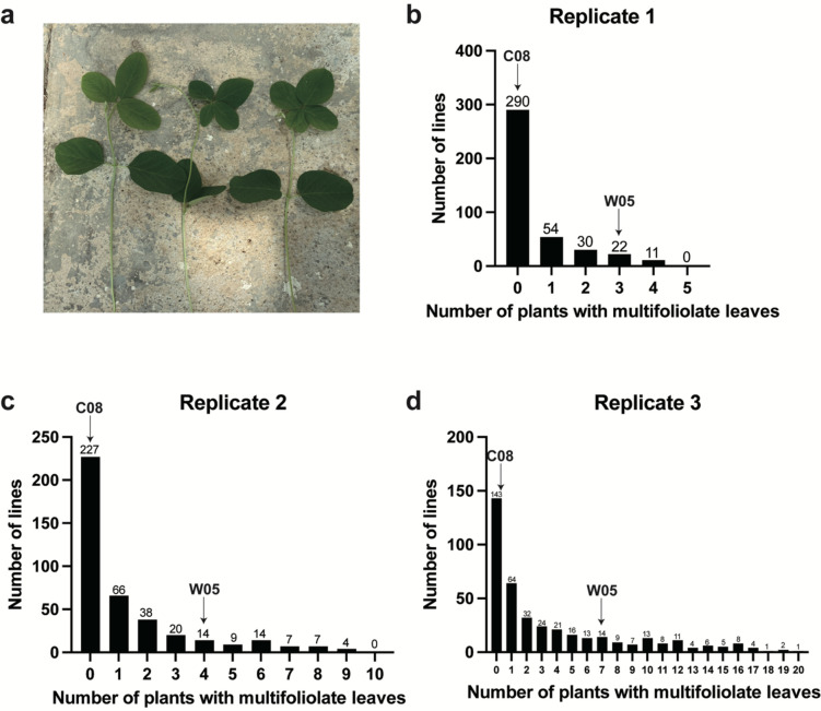 Fig. 2