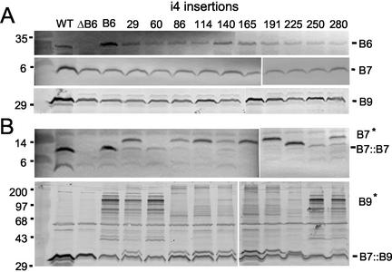 FIG. 6.