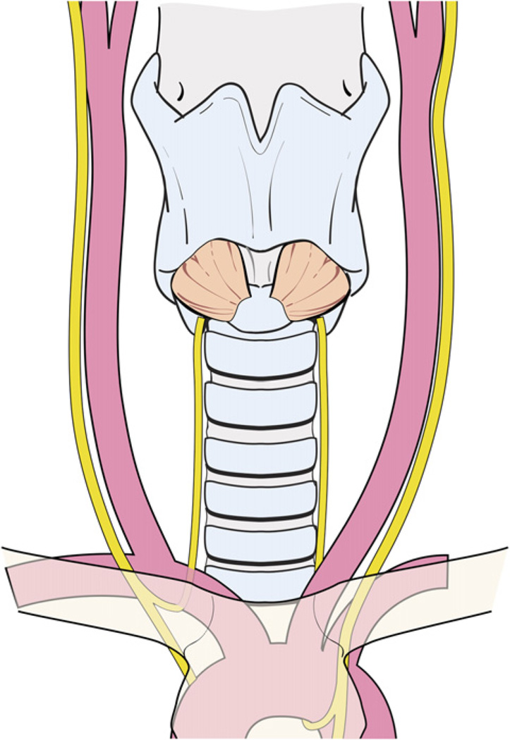 Fig. 12