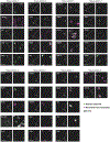 Extended Data Fig. 4