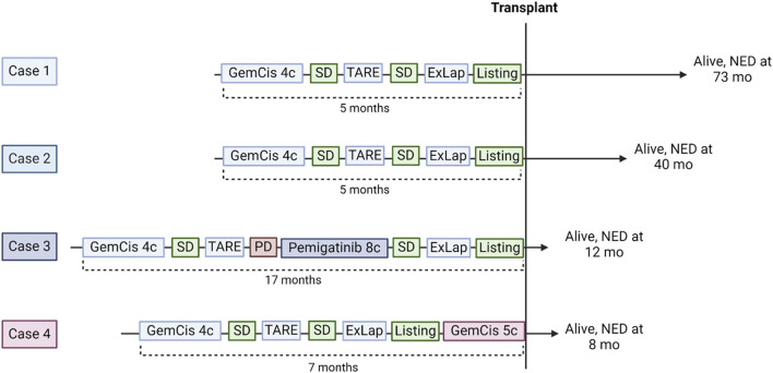 FIGURE 3