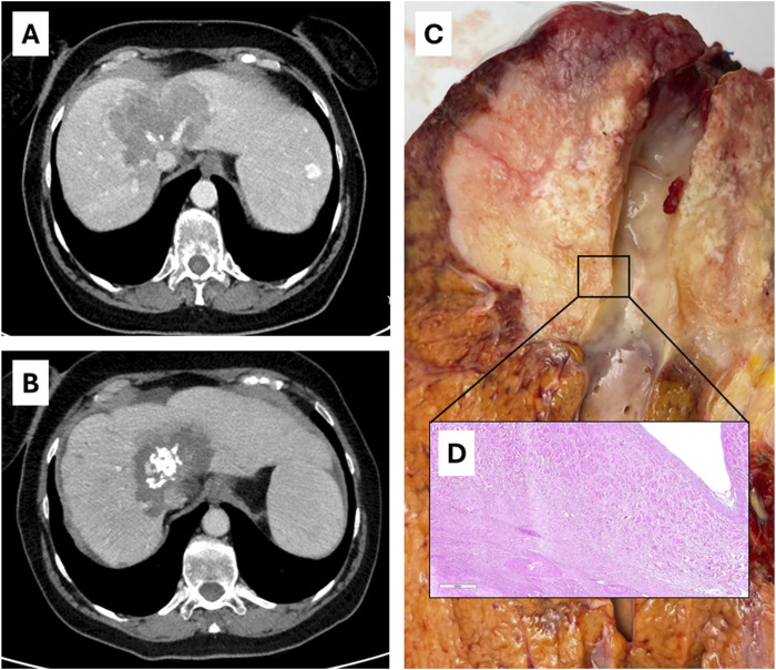 FIGURE 4