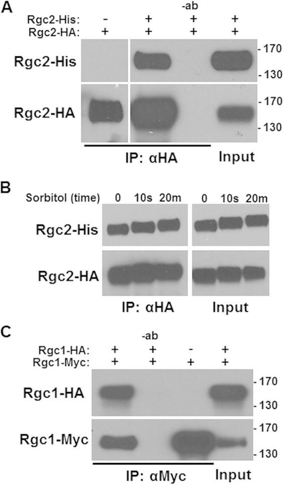 FIG 2