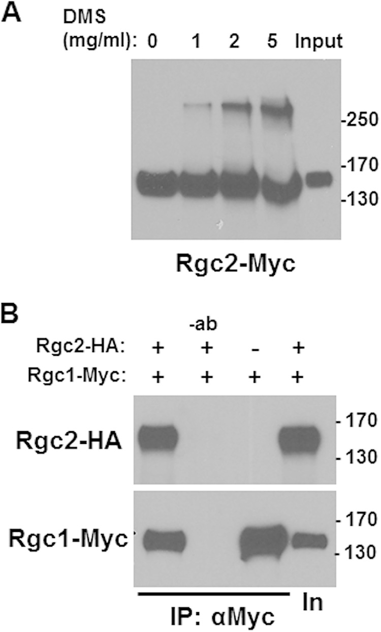 FIG 3