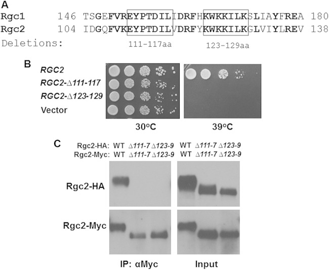 FIG 5