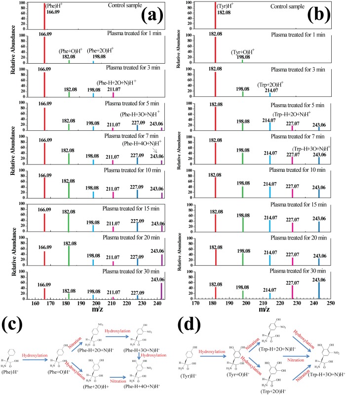 Fig 2