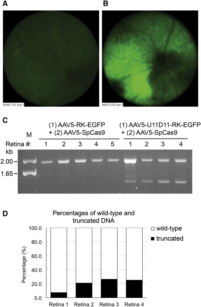 Figure 5