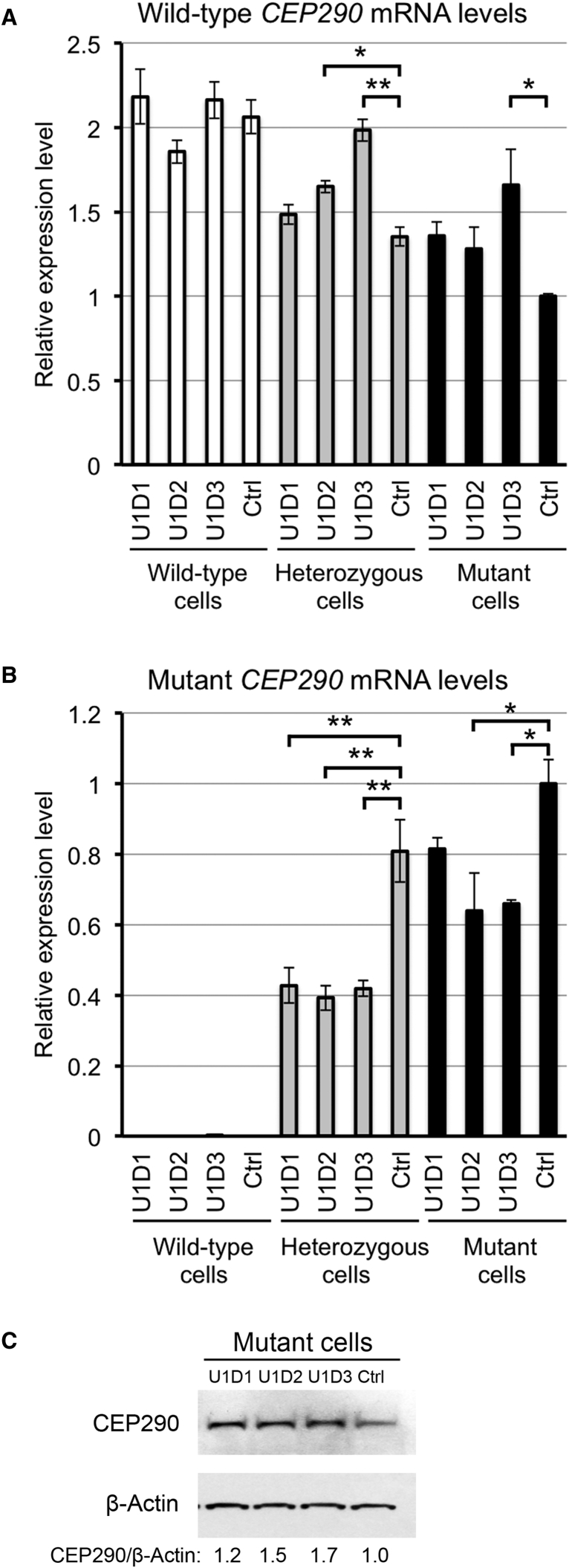 Figure 3