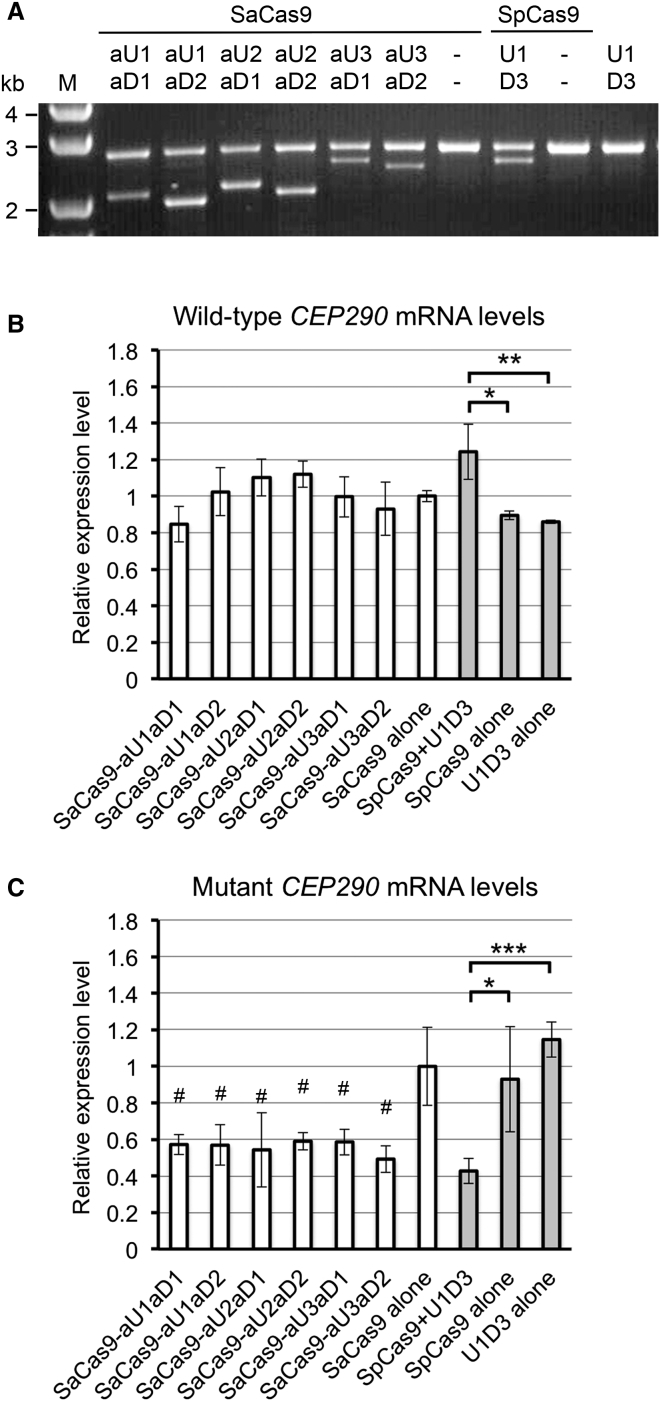 Figure 4