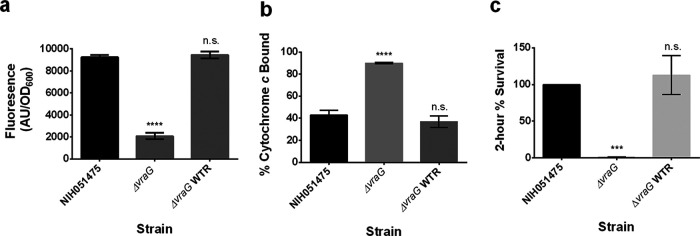 FIG 2