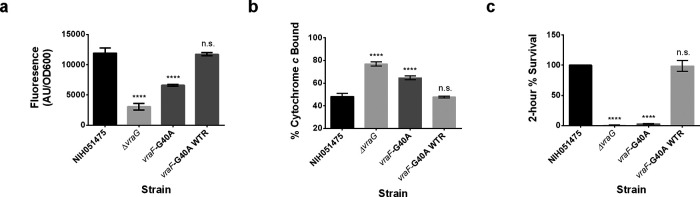 FIG 6