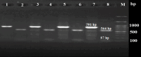 Fig 2: