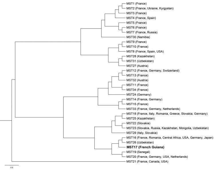 Figure 2