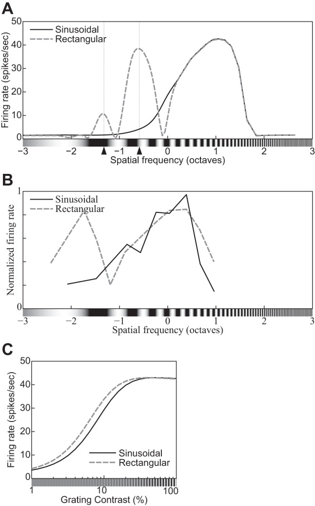 Fig. 15.