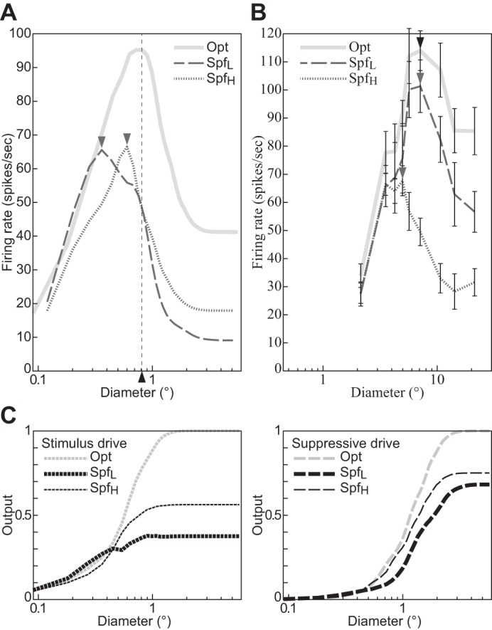 Fig. 8.