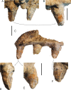 Figure 11