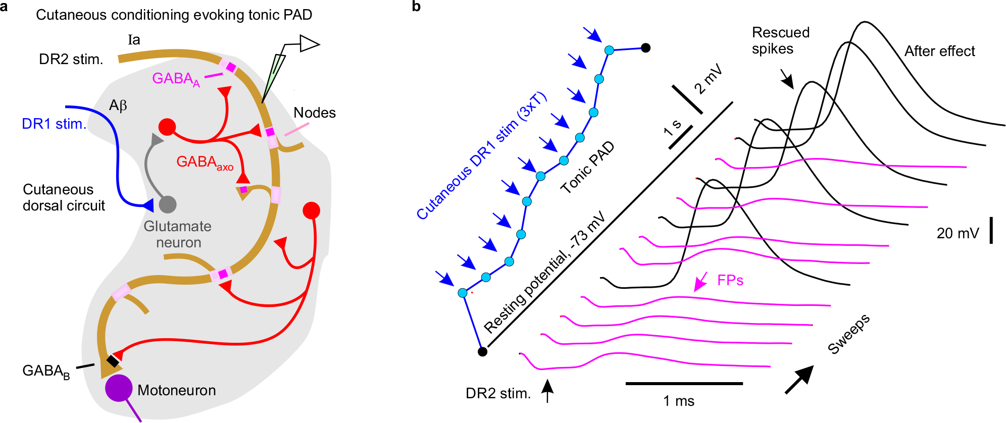 Extended Data Fig. 6 |