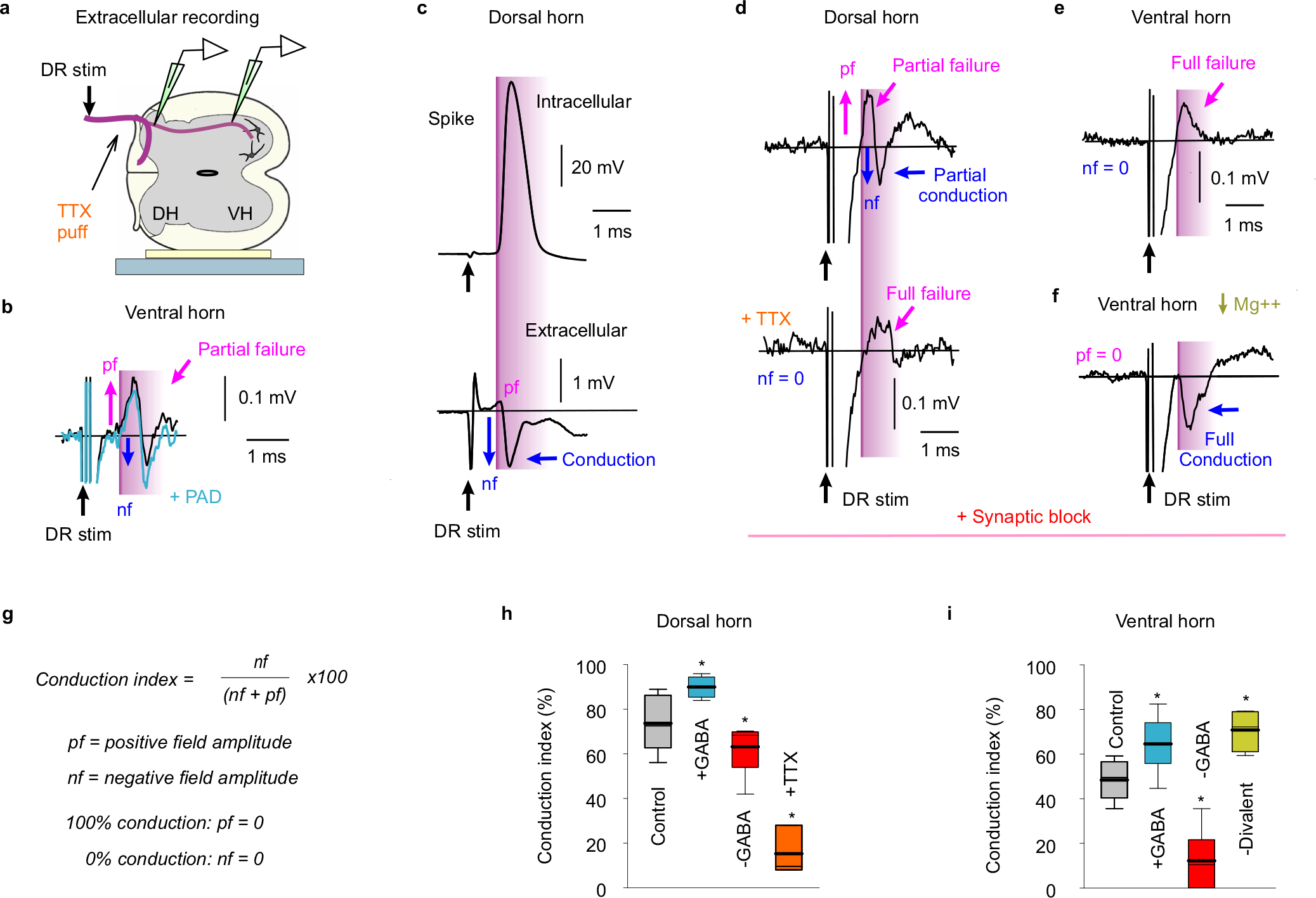 Extended Data Fig. 10 |