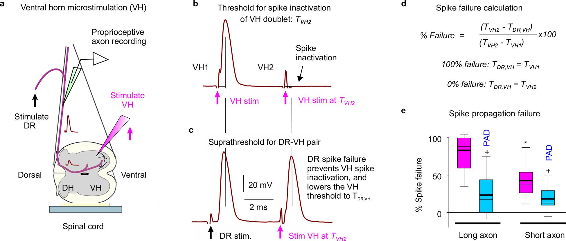 Extended Data Fig. 9 |