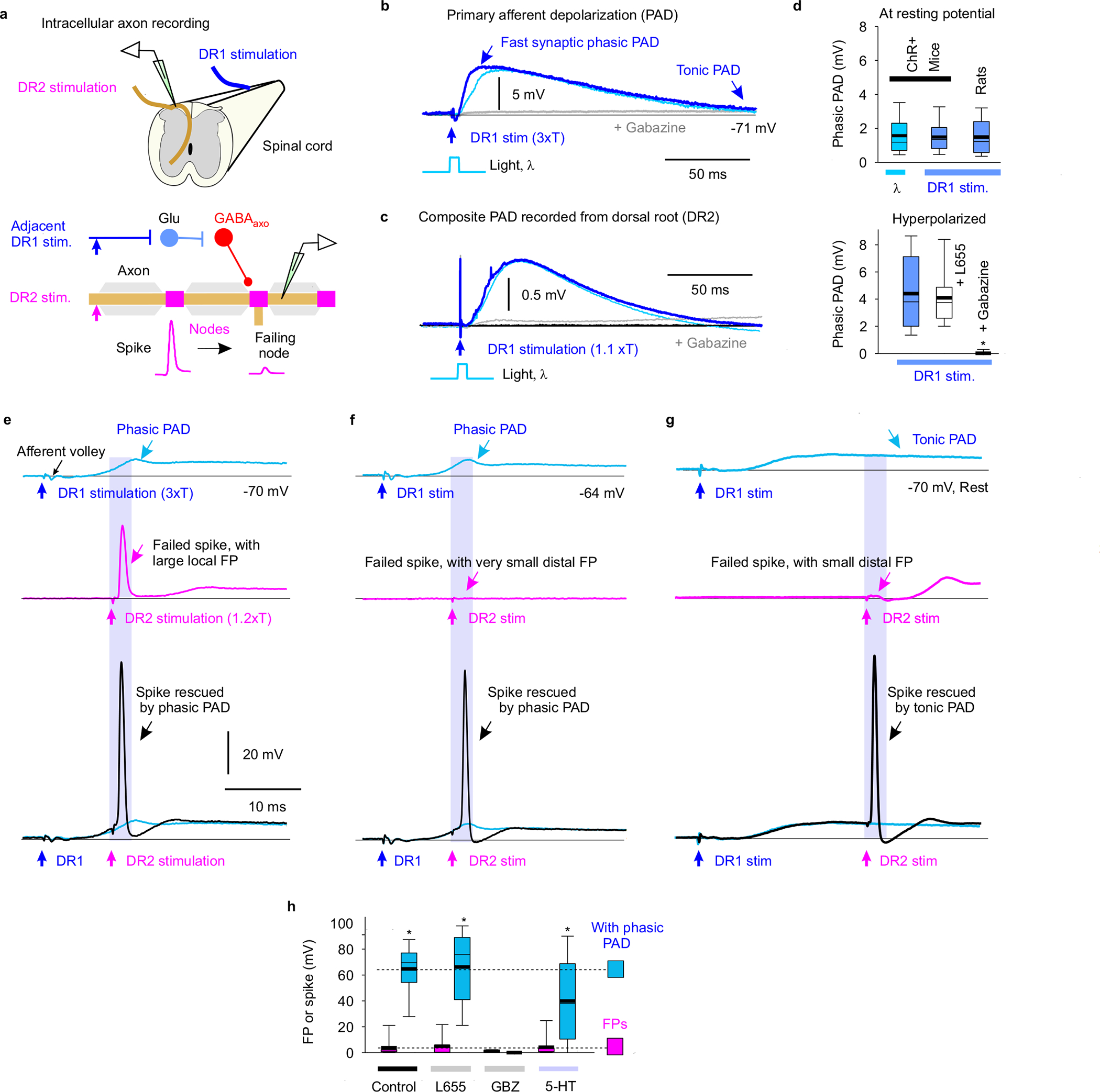 Fig. 4 |