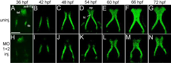 Figure 7