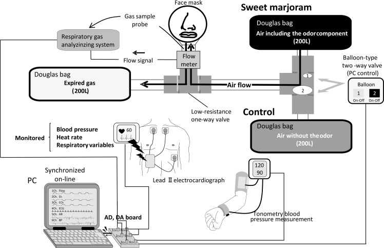 Fig 1