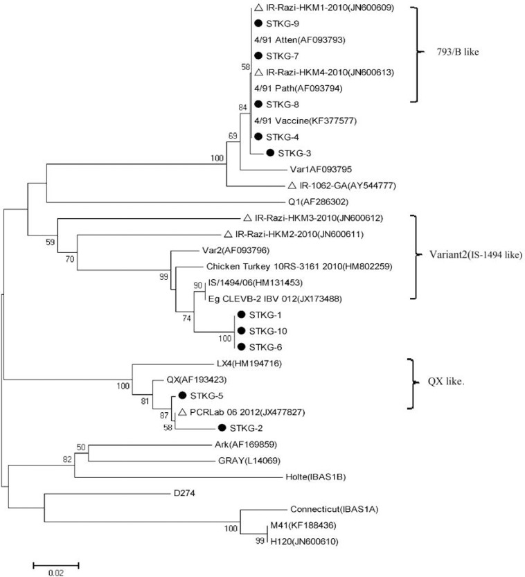 Fig. 1.