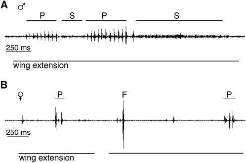 Figure 1