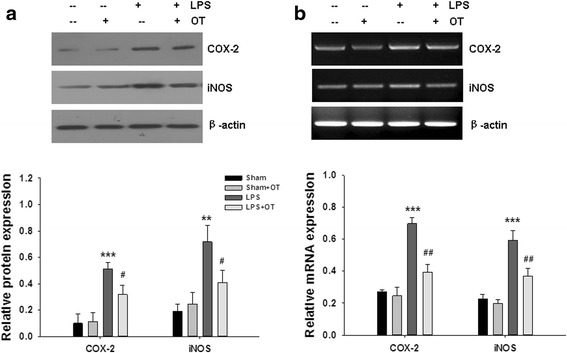 Fig. 12