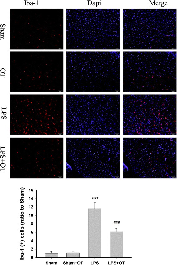 Fig. 9