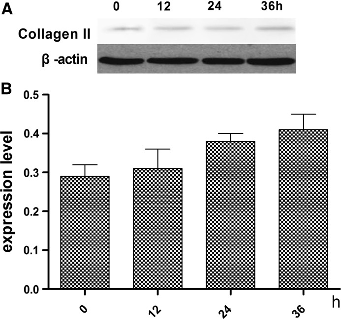 Fig. 6