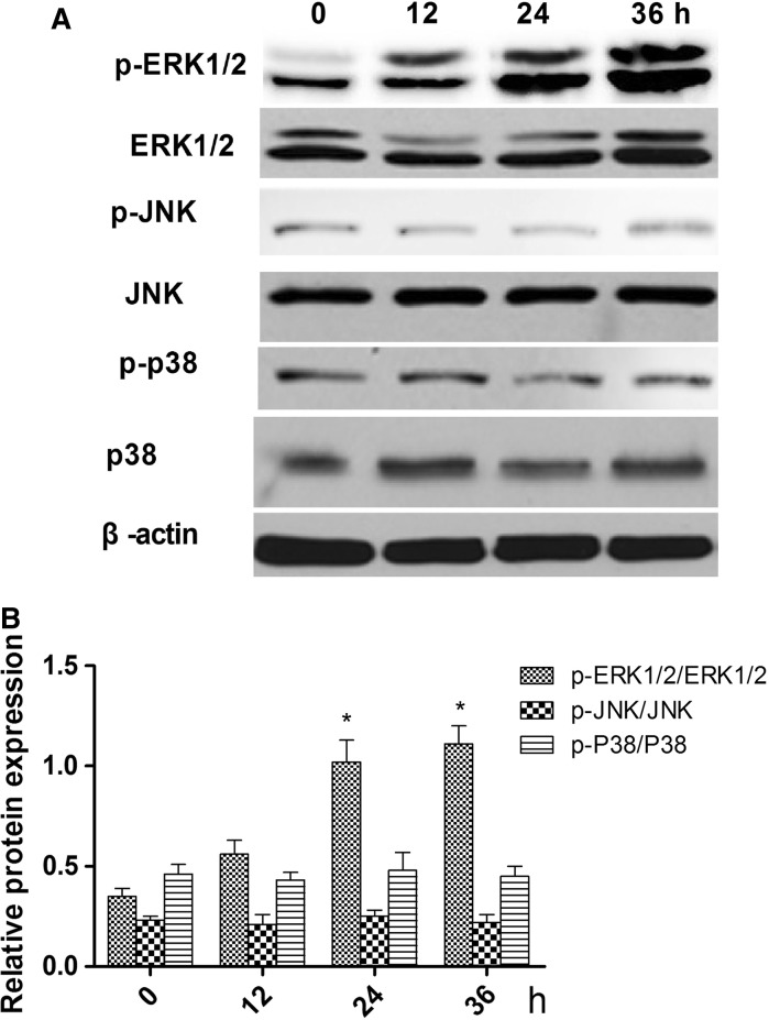 Fig. 3