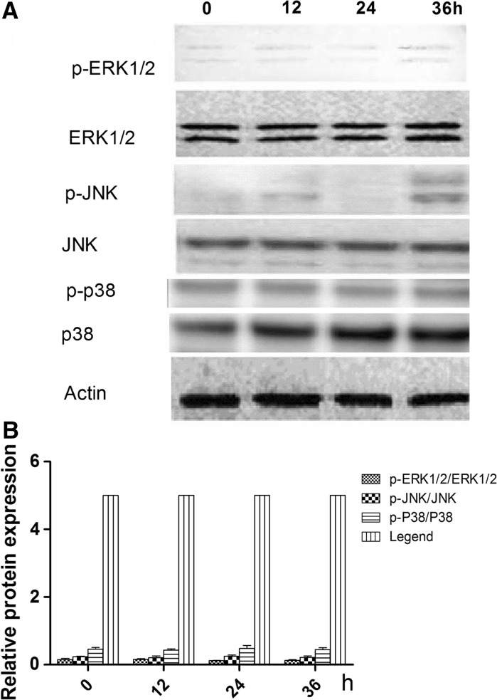 Fig. 5