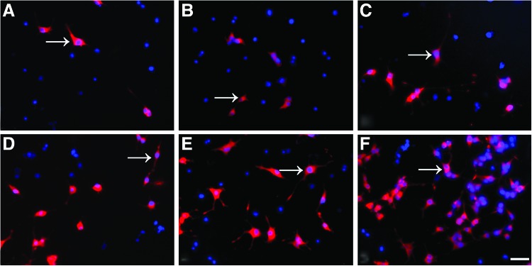 FIG. 6.